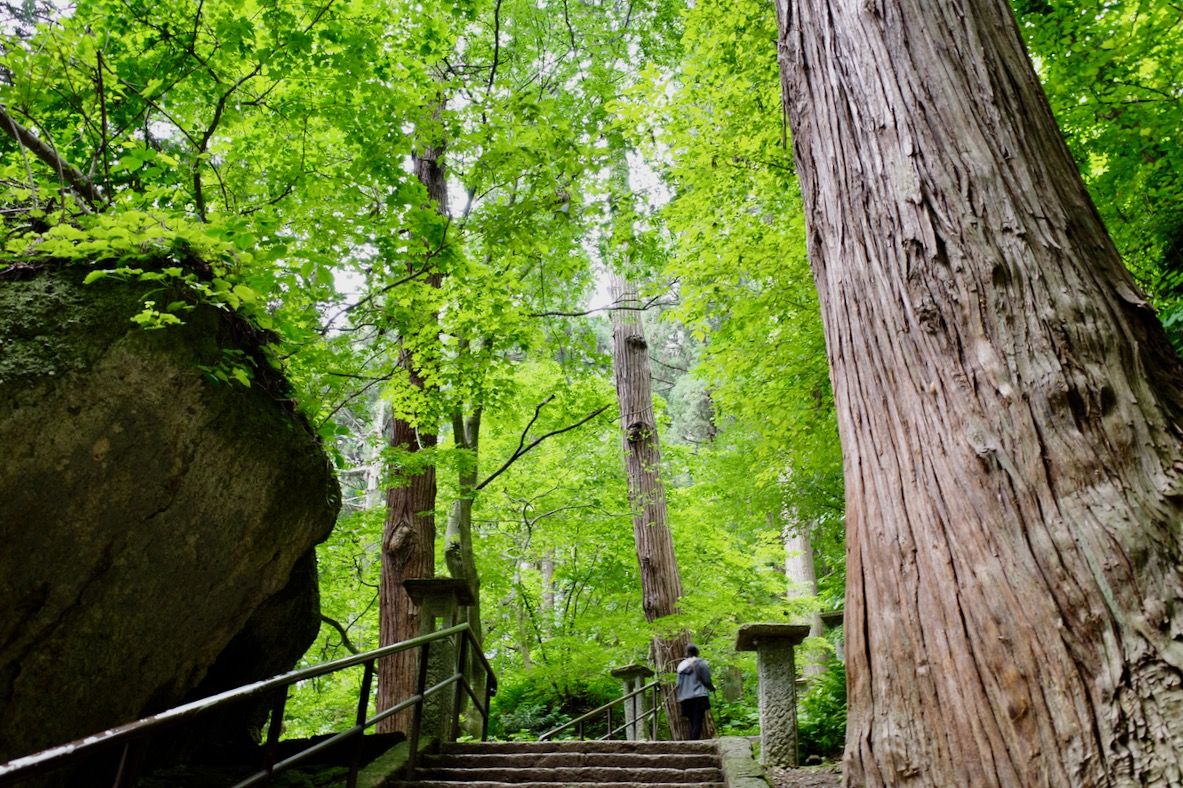 夏の宝珠山立石寺「山寺」は煌めく緑の世界