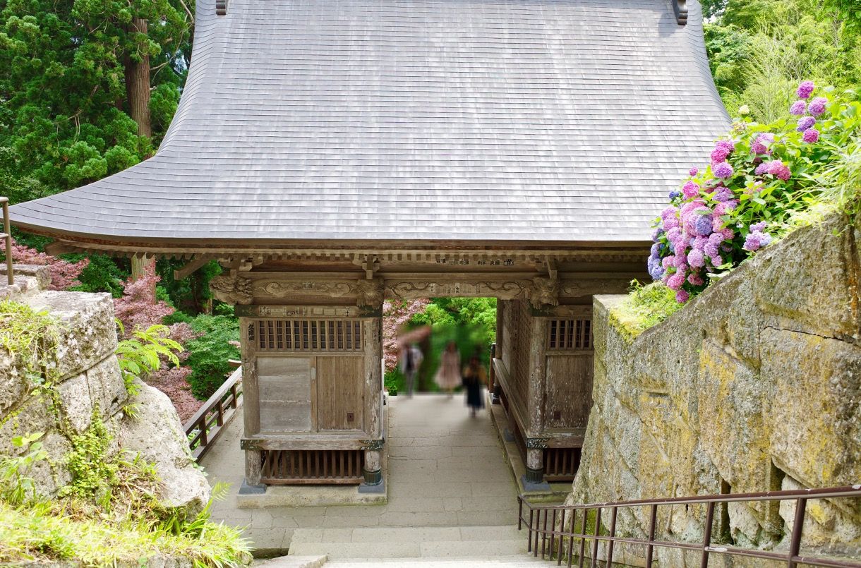 「山寺」の紫陽花スポット、おすすめは２カ所