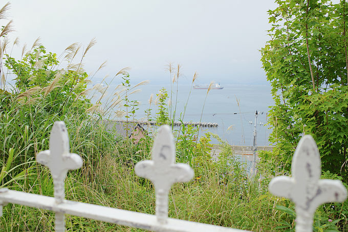 函館湾の美景を楽しむ カフェテリア モーリエ 北海道 Lineトラベルjp 旅行ガイド