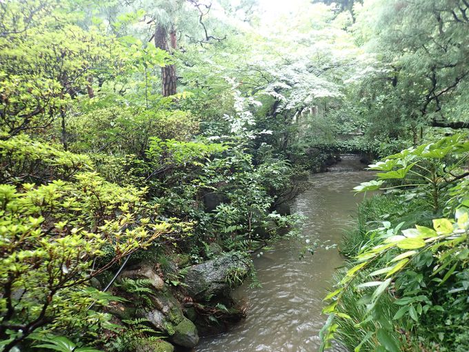 必見！文人の足跡を遺す美しい日本庭園「詠風庭」
