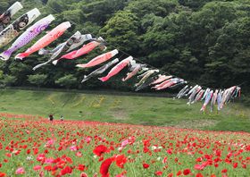 ���{��u����͂܉Ԃ̍��v�t�̓|�s�[���O�~�������̂ڂ�̋L���T���l�C��