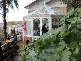 ���{��u�e�B�[�E�T���� �A�J���T�X�v�ŗD��ȃC�M���X�C���𖞋i�I�̋L���T���l�C��