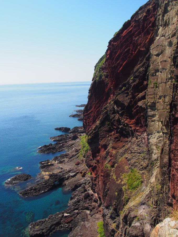 ԕǂƊC̃RgXg͑̂ޔI