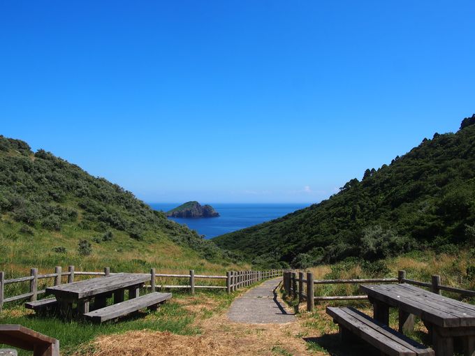 ԕǂƊC̃RgXg͑̂ޔI