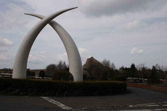 �ʕ{���ӂɂ͊ό��E���W���[�X�|�b�g���L�x