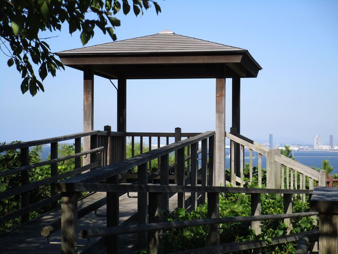 知られざる福岡市のパワースポット 西公園の 光雲神社 福岡県 トラベルjp 旅行ガイド