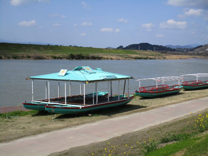 YȒ}̂قƂɂށu߉ אtv