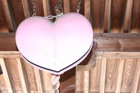 q_Ղ̔ˁuq_ _Ёv͋w̃p[X|bg̋LTlC