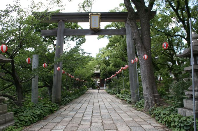 400年以上の歴史で市民に親しまれている「小倉祇園 八坂神社」