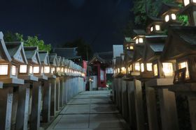 ޗǌEMMRʑ@ŏhV̌I̋͂܂ňِE!?̋LTlC