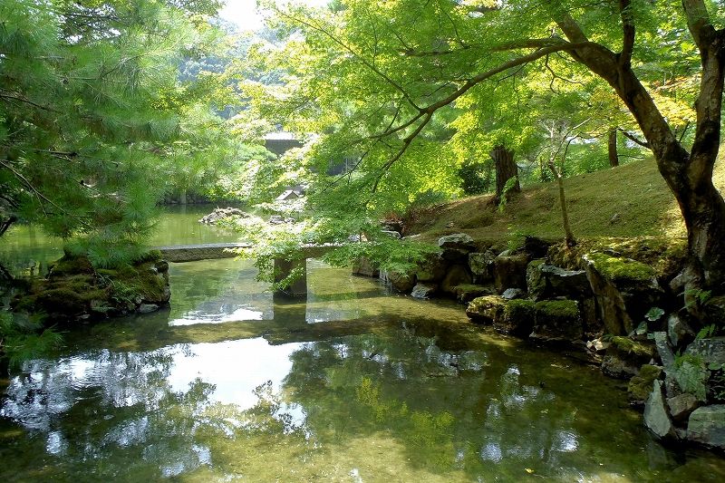 緑豊かな回遊式庭園「池泉庭園」は温泉水を利用して鯉を放流。秋の紅葉もおすすめ