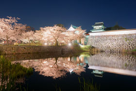 �u�����邳����܂�v����T�I�I2020�N�����ߌ����ŊJ�Â̋L���T���l�C��