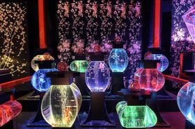 �u�A�[�g�A�N�A���E���W�v�����ŊJ�ÁI�����ƌ����D�萬���|�p���̋L���T���l�C��