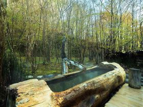 北海道「銀婚湯」“隠し湯めぐり”で森の絶景をひとりじめ！