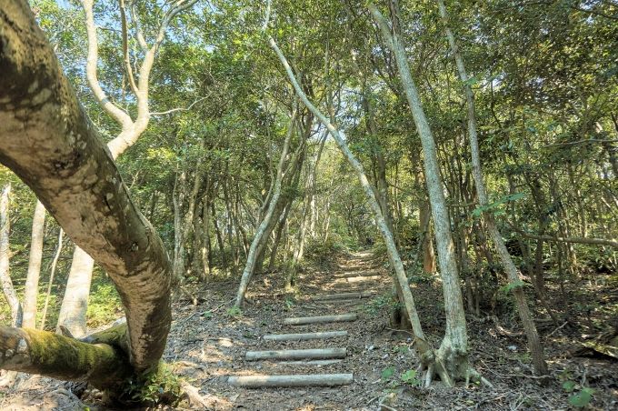 ǂȕōs炢́H Ă̂́H