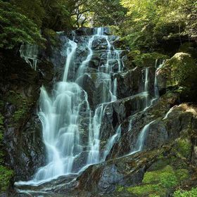 ȗv͕̉Ă̕Iq߂ɍs̋LTlC