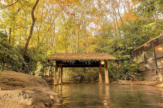 QʁFu ̓v uɗ򎩖̏h