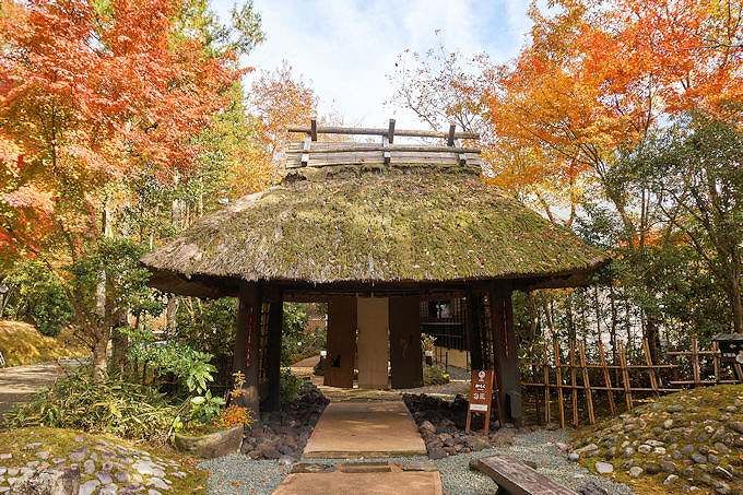 PʁFu̓ a炭v ɍʐF̍gtƐ򎿂i