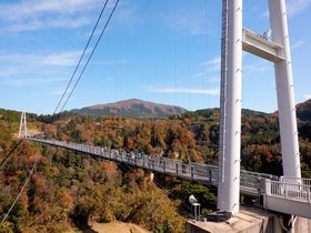 大分「九重“夢”大吊橋」日本一高い天空の歩道で紅葉狩り！