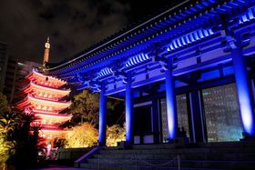 CgAbvEH[N̓A[gƌ̋I2019Ň́H̋LTlC