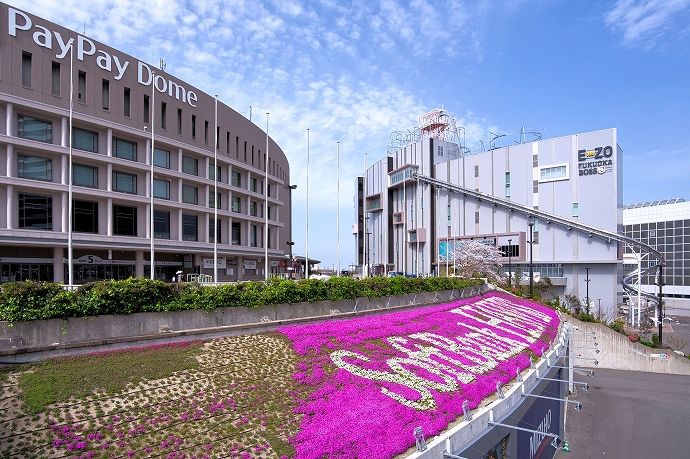 u5G LAB FUKUOKAvāAǂɂ́H