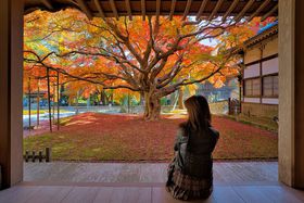 R@߉@͕̍gtIlC̎wցEOЉ̋LTlC