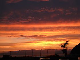 �X�u�󒎉��� �h���΂��v�͗����p�̗[�Ă����������I�̋L���T���l�C��