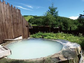 ����1650�N�I���R�c���򃌃b�h�E�b�h�C���͌������I�V���C�������!!�̋L���T���l�C��