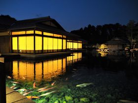 ���̖�ԉ������J���I���s�}�o�قō��o�̋C���ɂЂ����Ă݂�I�I�̋L���T���l�C��