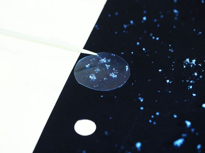 lqɂĂ܂̌{݁uXGAOiKIjv