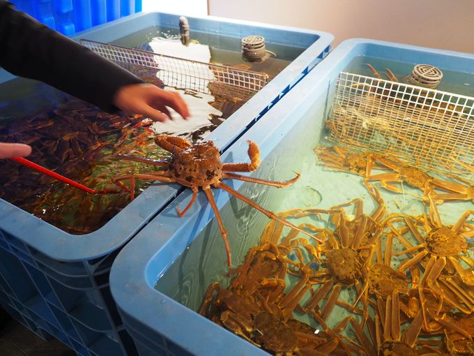 uOh[sVvɔ܂ƂȃXeLȂƂI