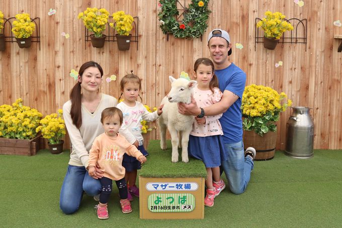 赤ちゃん羊に満開の菜の花 マザー牧場 で春フェス開催中 千葉県 トラベルjp 旅行ガイド