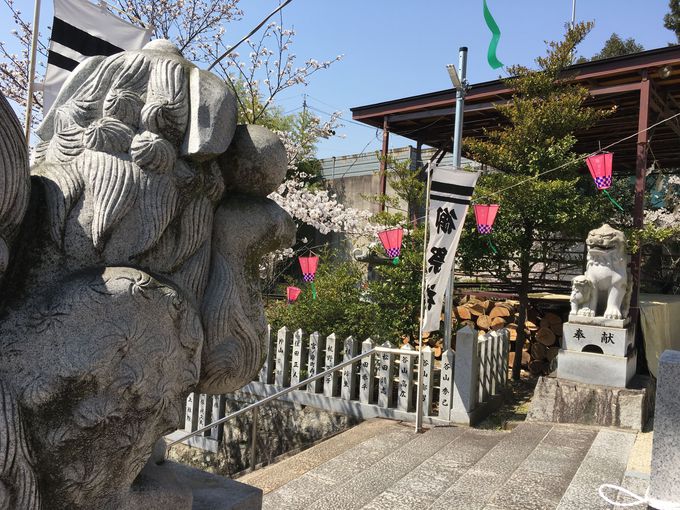 広島の子宝 安産祈願スポット 矢口 弘住神社 の子連れ狛犬にタッチ 広島県 トラベルjp 旅行ガイド