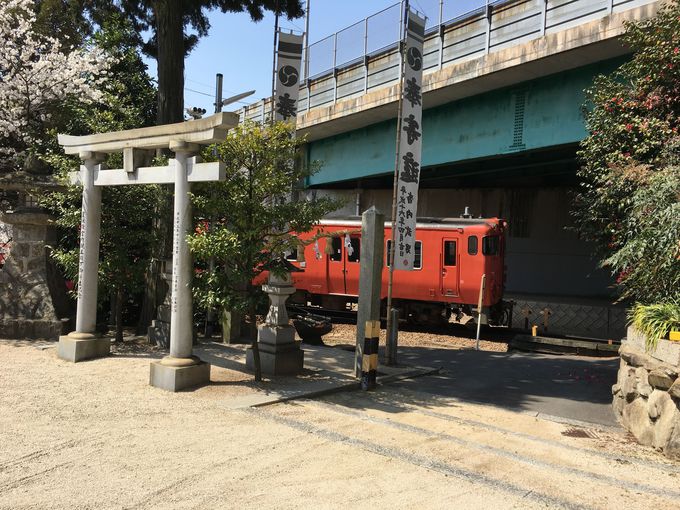 広島の子宝 安産祈願スポット 矢口 弘住神社 の子連れ狛犬にタッチ 広島県 Lineトラベルjp 旅行ガイド