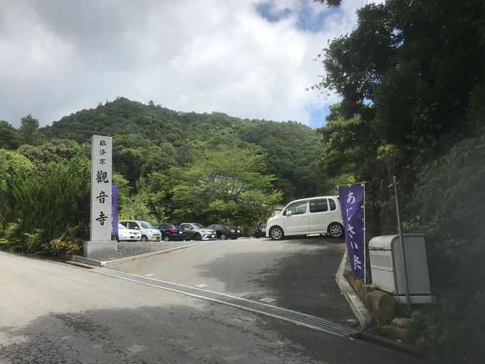 広島の紫陽花スポットはココ 観音寺 あじさい祭 は5000株が競演 広島県 トラベルjp 旅行ガイド