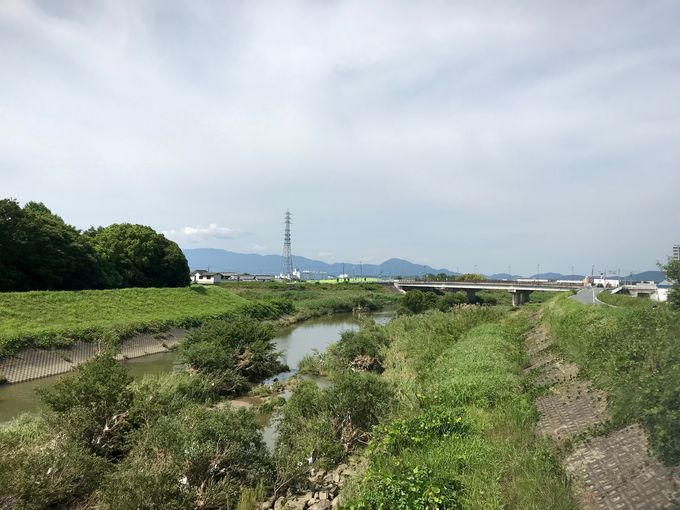 奈良 大和郡山 額安寺 の十一面観音は色白お洒落な美仏さま 奈良県 トラベルjp 旅行ガイド
