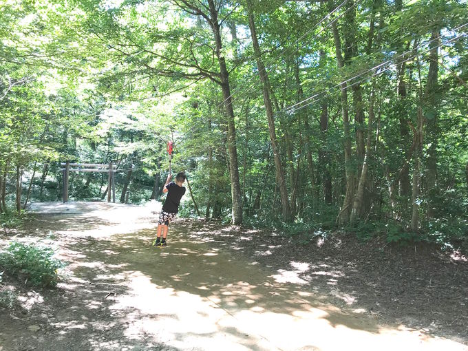 アスレチックコースに挑戦 広島 もみのき森林公園 わんぱくの森 広島県 トラベルjp 旅行ガイド