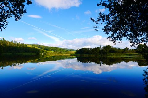 ΐn̂ߊόX|bg20IIb̐EŃbNX悤̋LTlC