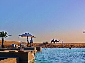 �l�CNo1�̍������]�[�g�I�h�o�C�u�o�u �A�� �V�����X �f�U�[�g ���]�[�g���X�p�v�̋L���T���l�C��