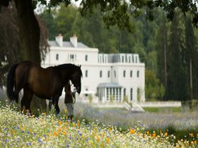 馬と過ごす優雅な休日。英国のエコ、ラグジュアリーホテル「コワースパーク アスコット」