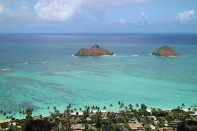 �n���C�Ő�i�ɉ�ɍs���I�s���{�b�N�X�g���b�L���O�R�I�̋L���T���l�C��