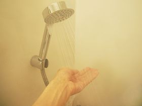 �g���ړ��āg�Ŕ��܂肽���I�S�ُ򐅂́u���S�t���b�T�C�� ����k���v�̋L���T���l�C��