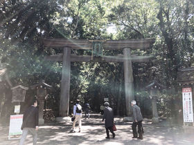 �ޗǂŊJ�^�I��_�_�Ђƌ���O���������闷�̃X�X���̋L���T���l�C��