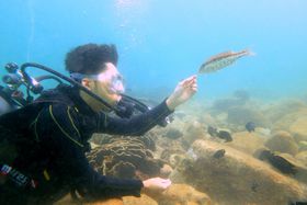 m̌EŐiBeI_CuVbvuSEAZOOv̋LTlC