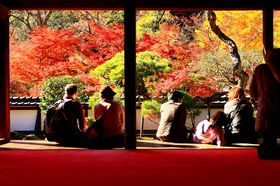 �g�t�̖����E�ޗǁu����v�͎��͐��𔭏˂̒n!?�̋L���T���l�C��