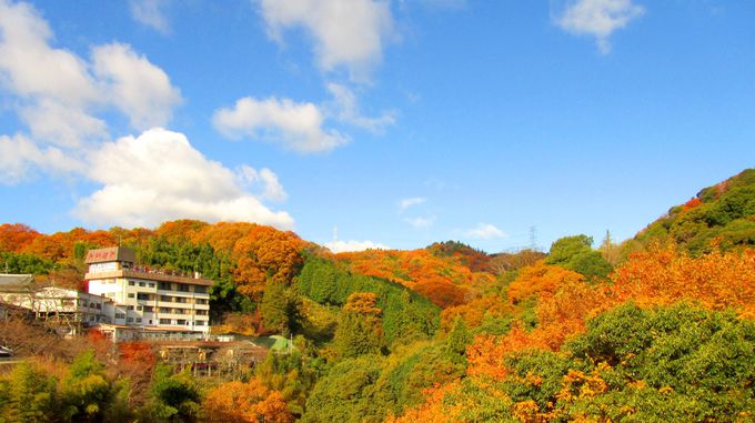 奈良の紅葉スポット 信貴山 朝護孫子寺 のオススメ撮影ポイント 奈良県 トラベルjp 旅行ガイド