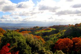 ޗǂ̍gtX|bguMMR 쑷qṽIXXBe|CgI̋LTlC