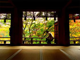 奈良・桜井市「談山神社」で楽しむ紅葉と串こんにゃく