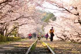 �^�_�Ŋy���߂�I���s�E�����G���A�̃I�X�X�����X�|�b�g�T�I�̋L���T���l�C��