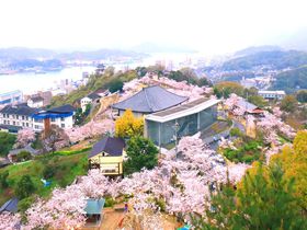 尾道・千光寺公園でお花見デート！夜桜と夜景がロマンチック